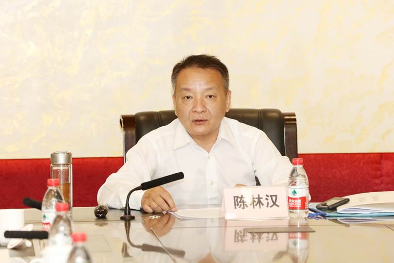 说明: D:\李子丹\新闻和照片\2019\学术\11.8vwin德赢AC米兰官网\陈林汉.JPG